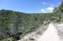 Du Pont de la Bécasse à la route de St Loup